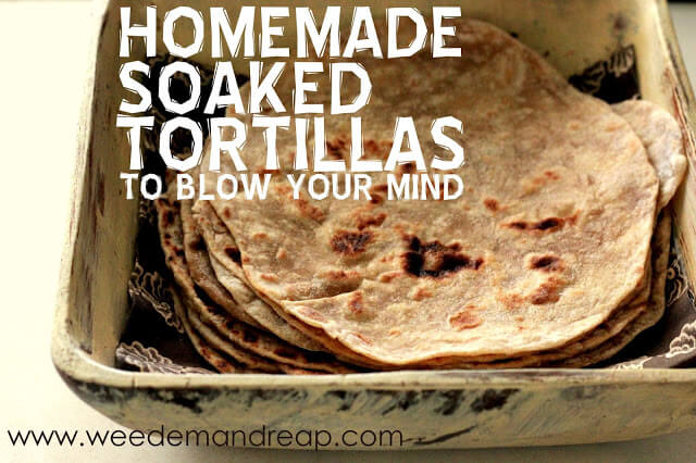 https://www.weedemandreap.com/wp-content/uploads/2013/07/healthy-soaked-tortillas.jpg