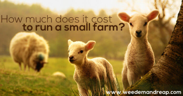 How Much Does It Cost To Run A Farm Per Year