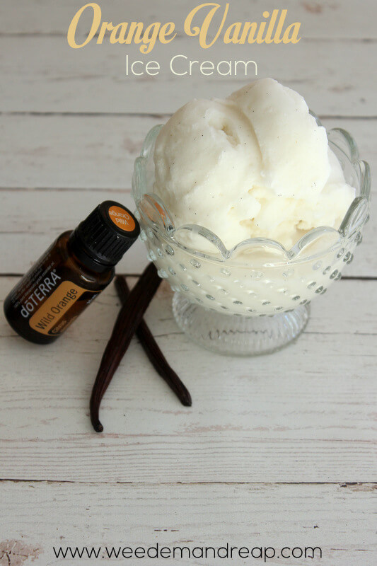 Homemade Orange Vanilla Ice Cream