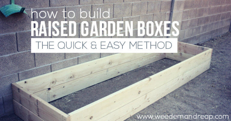 How to Build Raised Garden Boxes