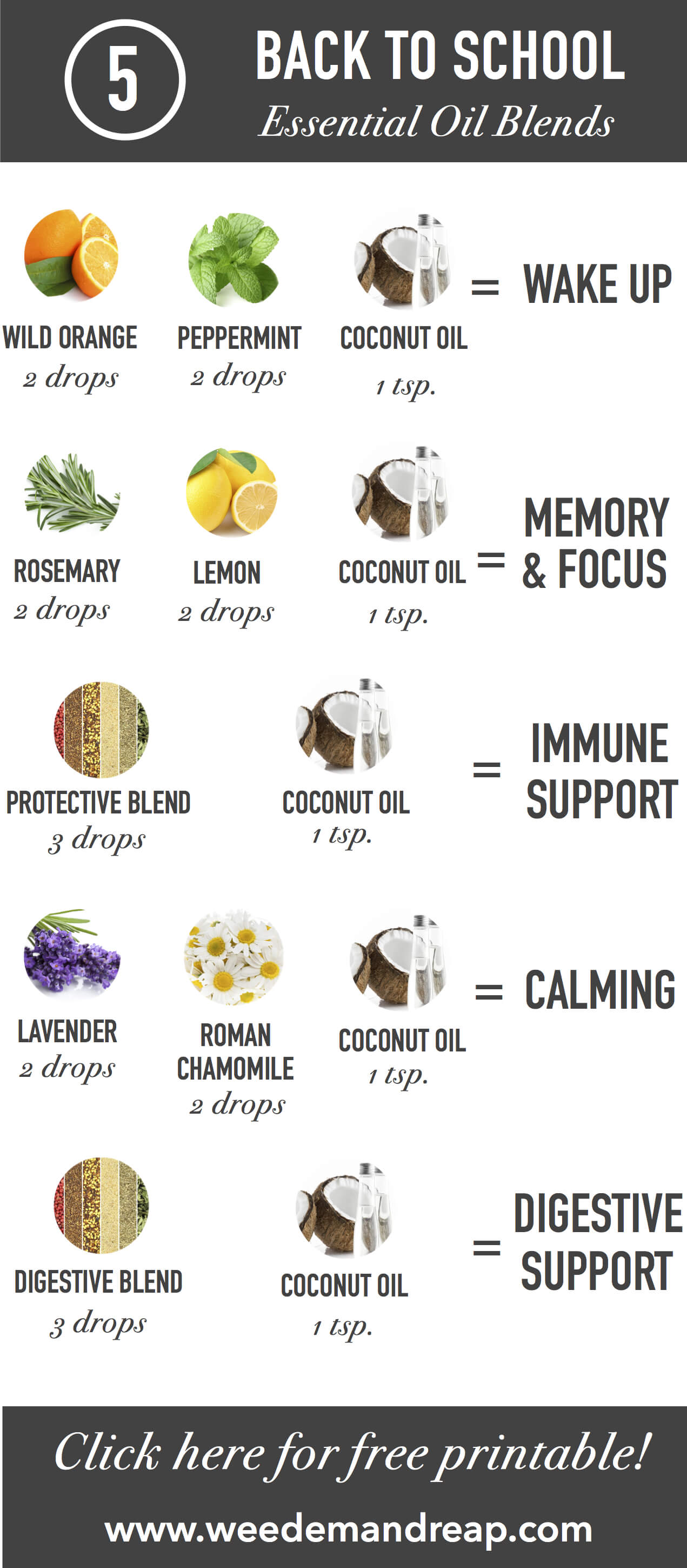 How to Use the Top Oil Blends