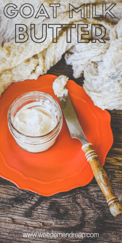 Goat Butter Making Butter