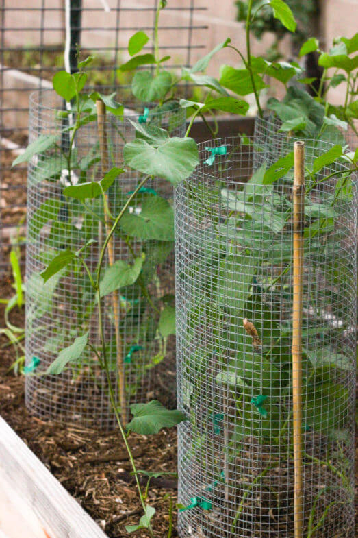 Urban Farming - A Day in the Life - Weed 'em & Reap